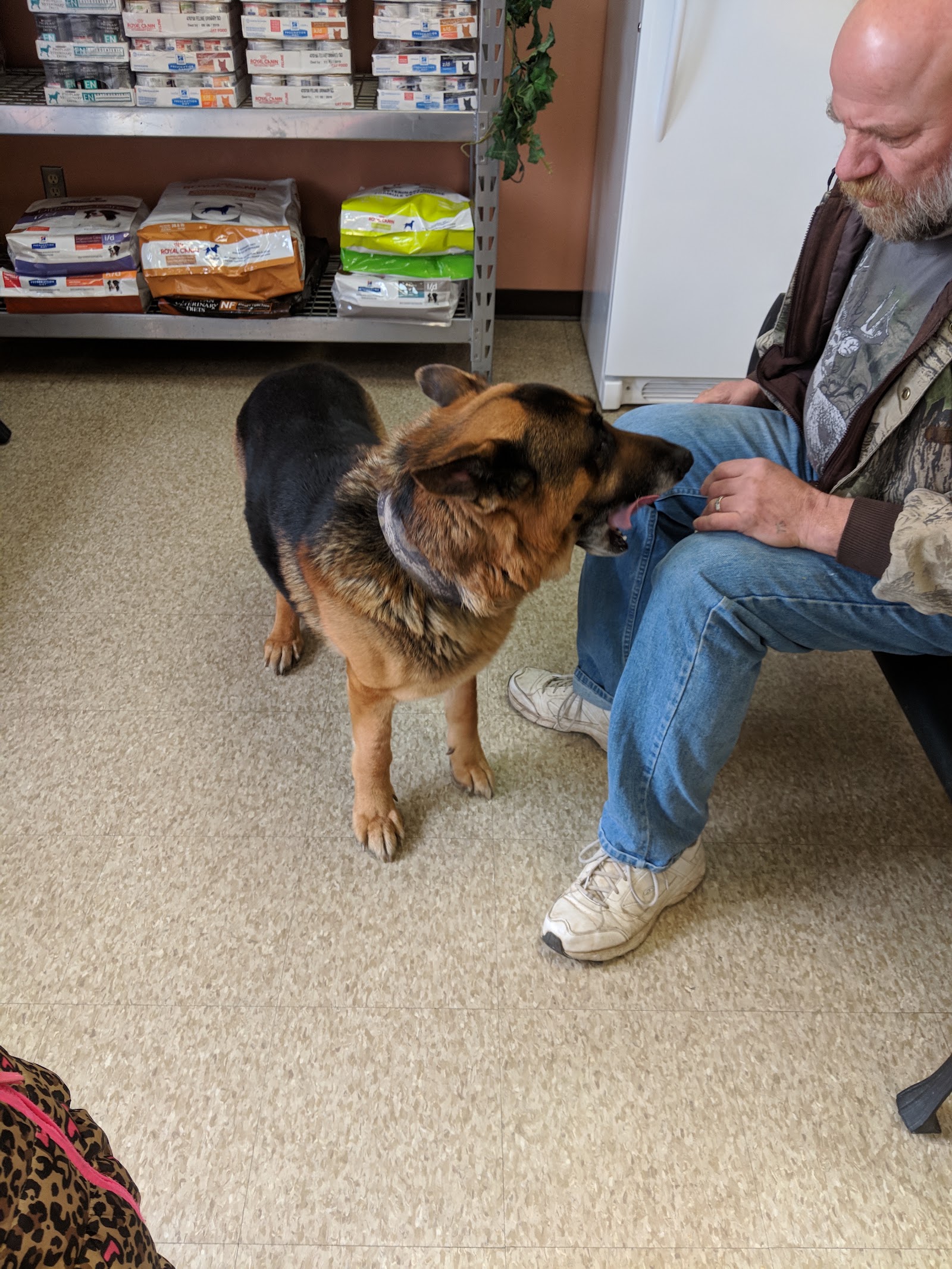 Country Creek Animal Hospital in Monroe