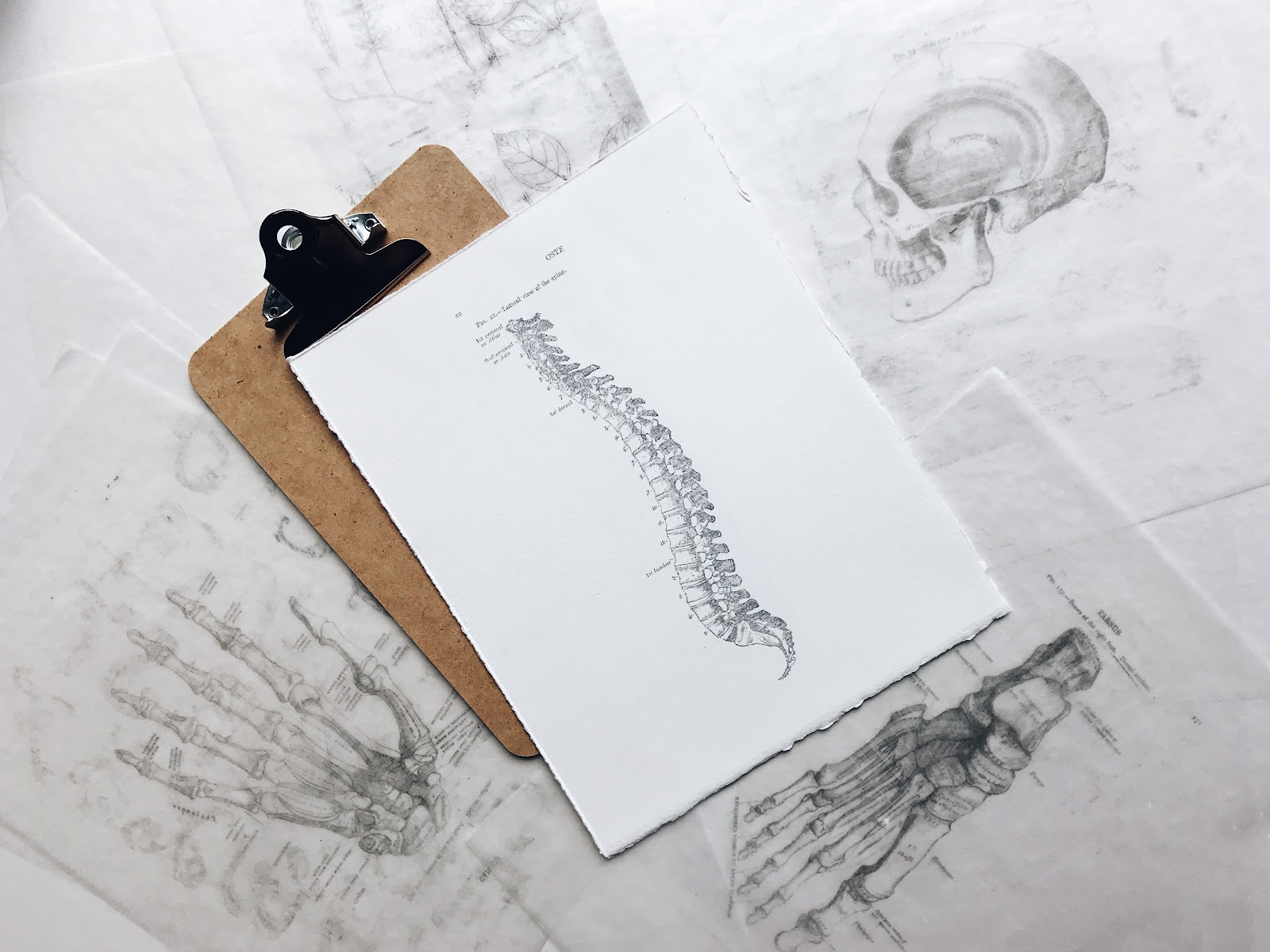 Upper Cervical Spine Centers of Michigan — photo